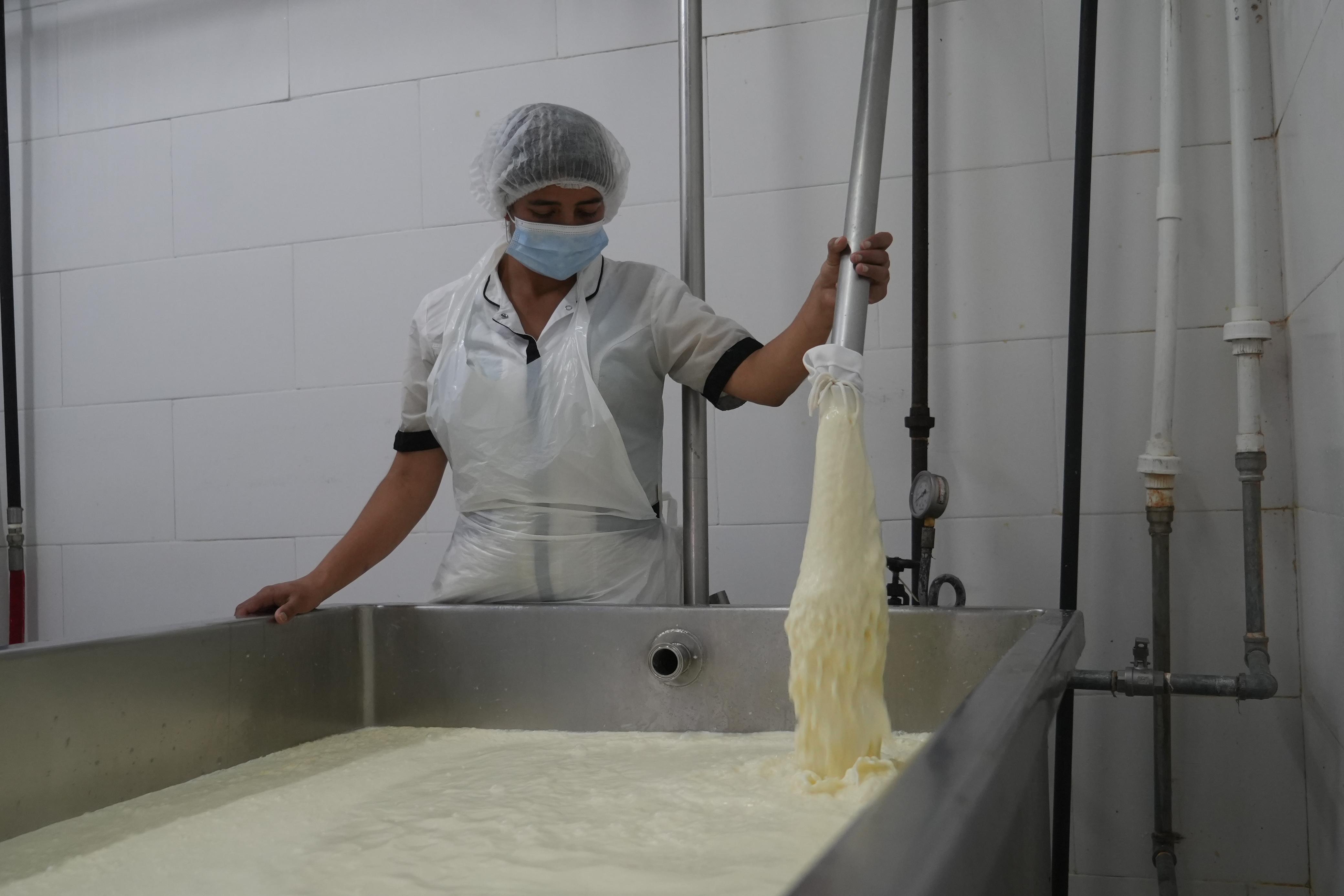 Así es como las subastas de leche buscan incentivar compras a productores del país