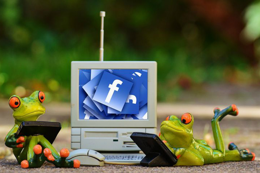 Estudio: «Dime qué compartes en redes sociales y te diré qué tipo de animal eres»