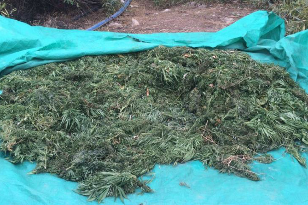 Aparecen paquetes de marihuana en playas de Florida