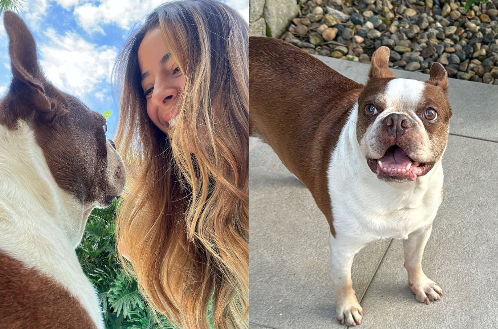 “Qué vacío tan grande dejas”: reconocida influencer lamenta la pérdida de su perro