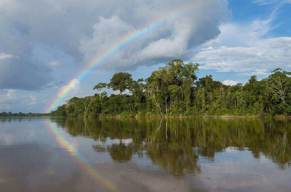 Perú declara protegidas casi 1 millon de hectáreas en la Amazonía