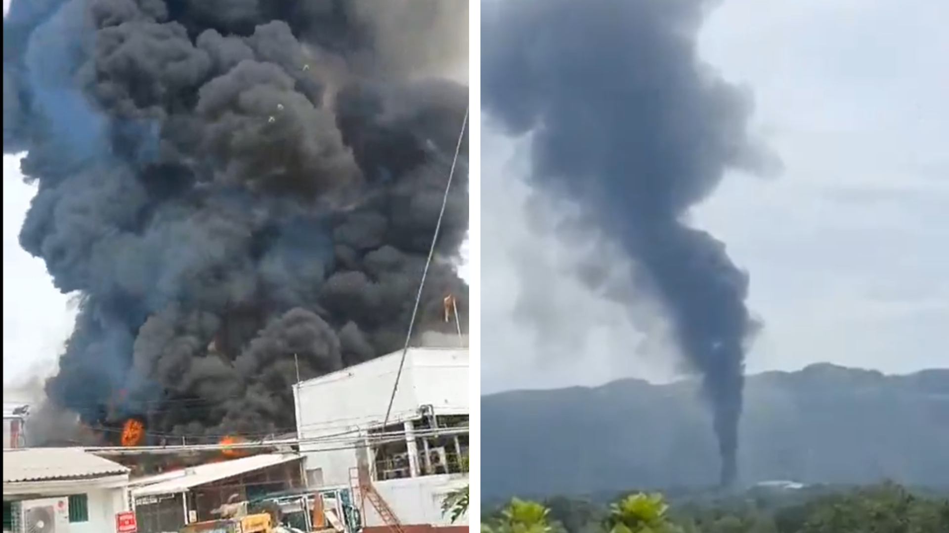 Por incendio en planta avícola de Piedecuesta, Santander, evacuaron a 600 empleados