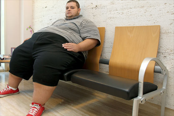 Universidad de Stanford  revela la principal causa de la obesidad