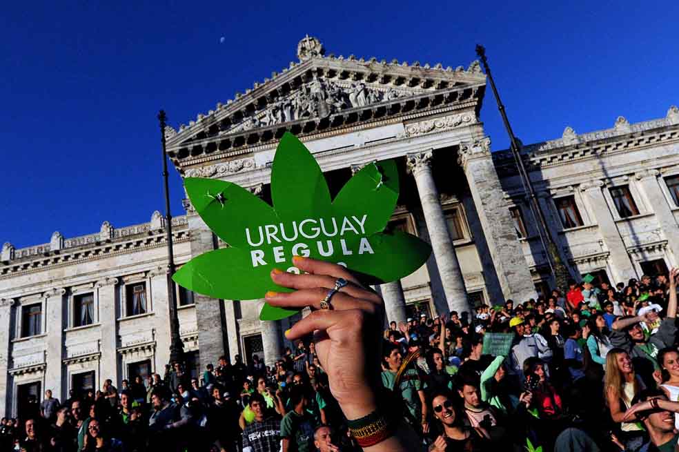 ‘Hay que usar la óptica de la regulación’