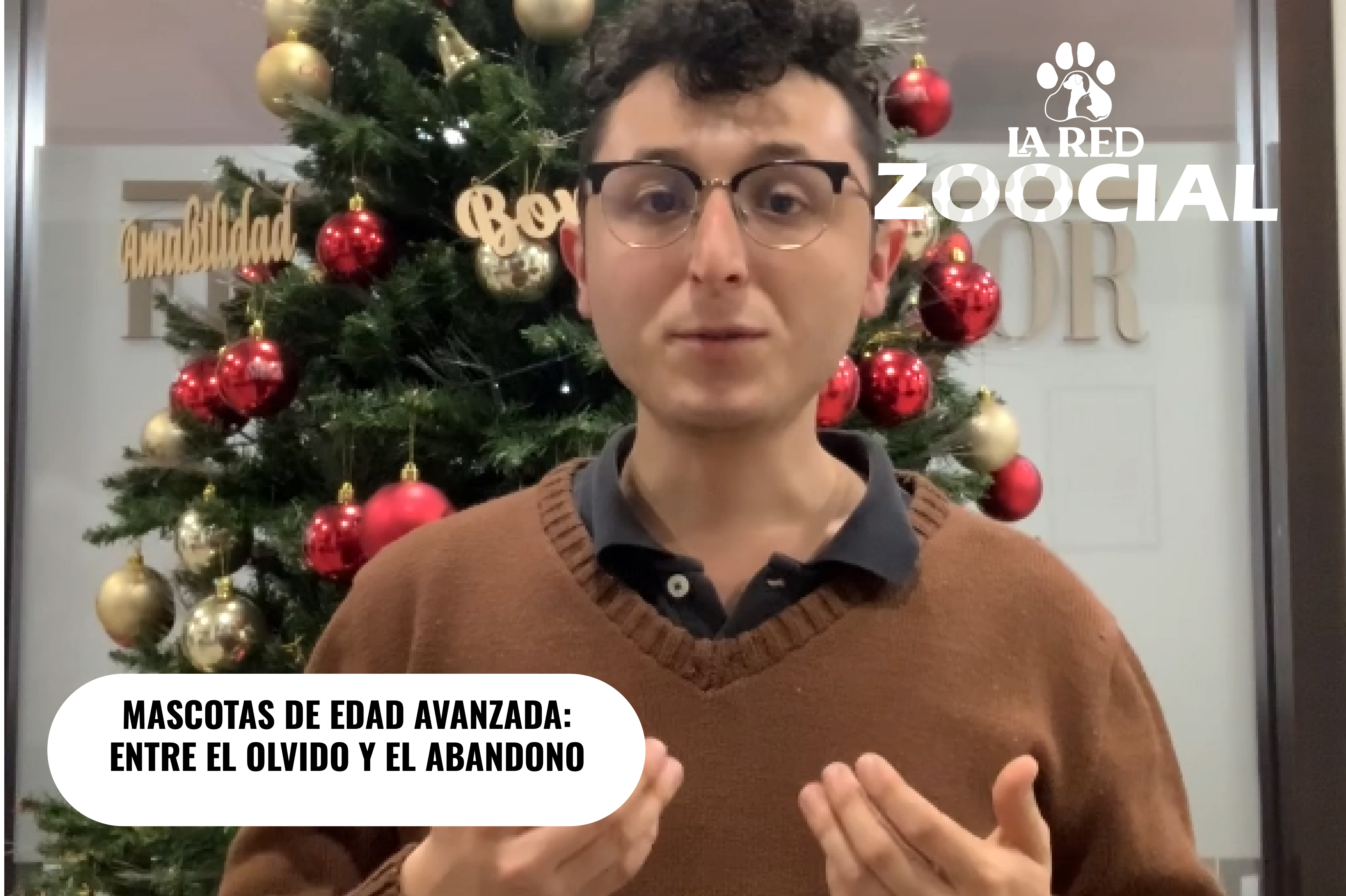(VIDEO) Mascotas de edad avanzada: entre el olvido y el abandono por las personas