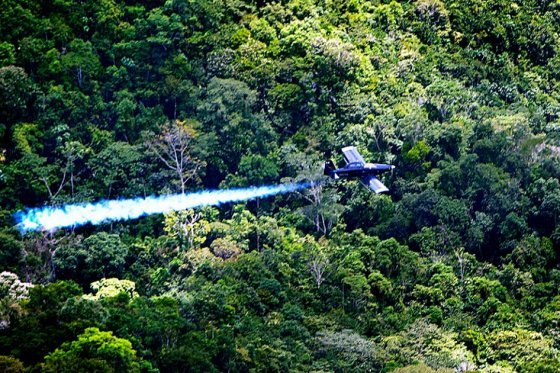 Suspender el uso de glifosato no es una concesión a las Farc: Santos