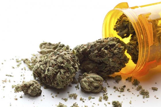 Remedio o droga: el cannabis «terapéutico» causa debate en Sudáfrica