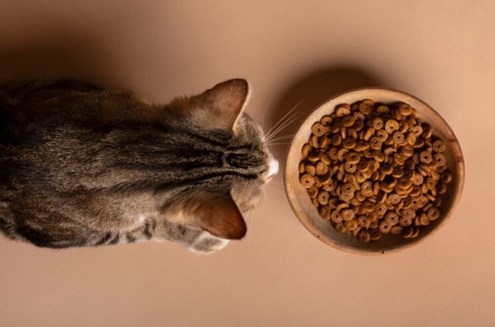 ¿Cuánto tiempo dura la comida para gato luego de abrirla?