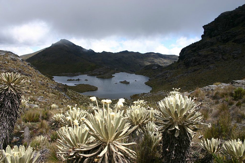 Minambiente no frenará licencia de Minesa en Saturbán. El proceso continuará