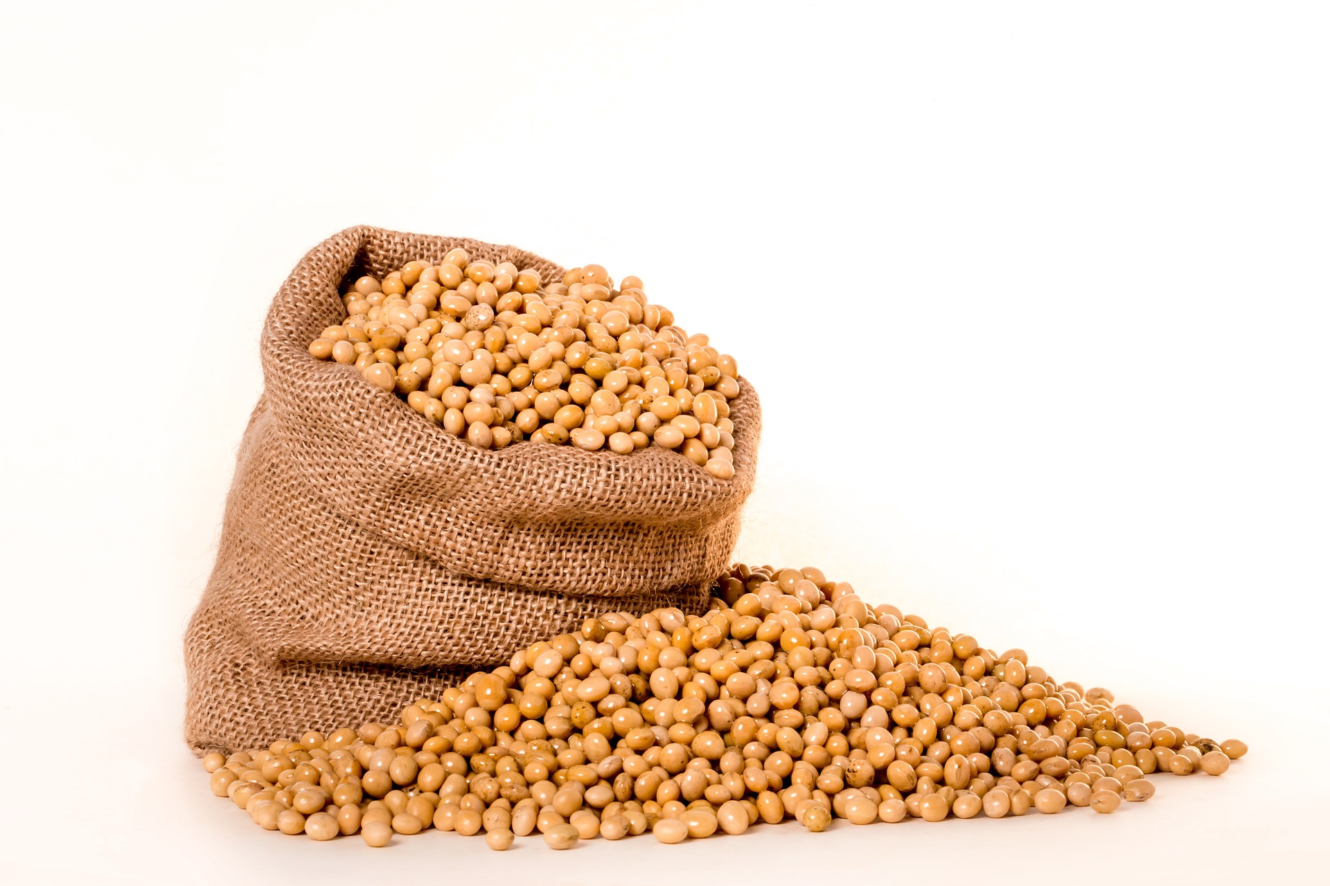 De crisis en arroz a la oportunidad de la soya: así es el plan para sustituir importaciones