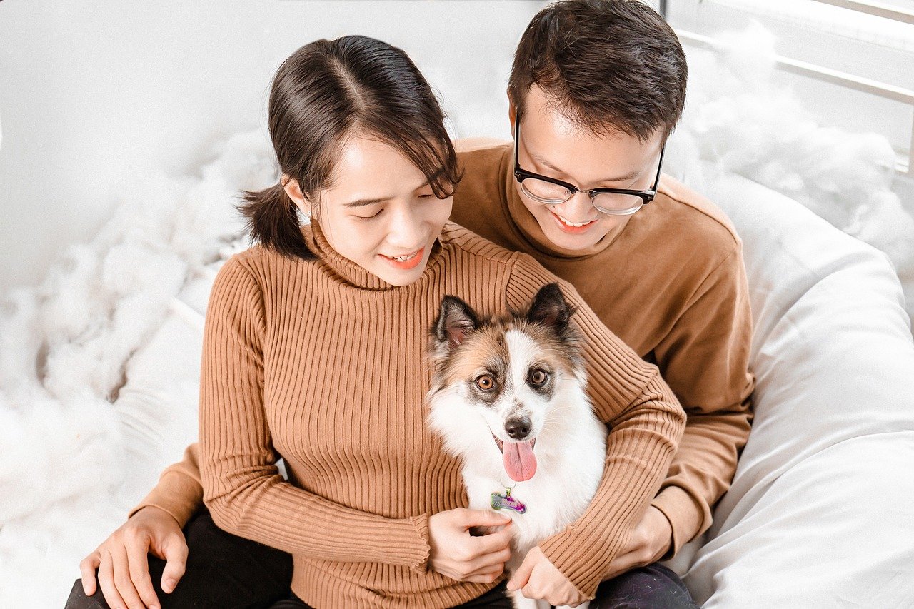 Corte convocó sesión técnica para definir si las mascotas pueden ser parte de la familia