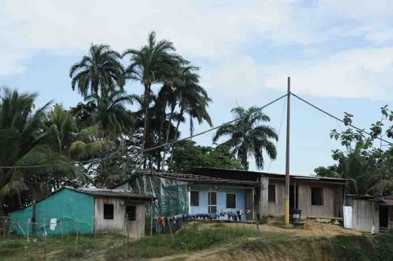 Fosas descubiertas en Buenaventura no son de crímenes recientes