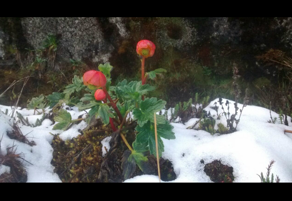 El regreso de la nieve al páramo de Las Tinajas, en el Valle del Cauca, en 10 fotos