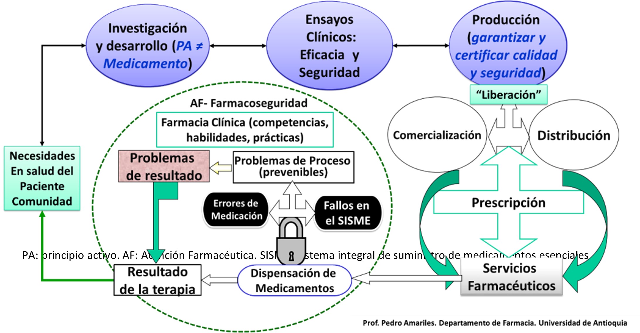 Fases generales en el desarrollo y utilización de medicamentos y afines.