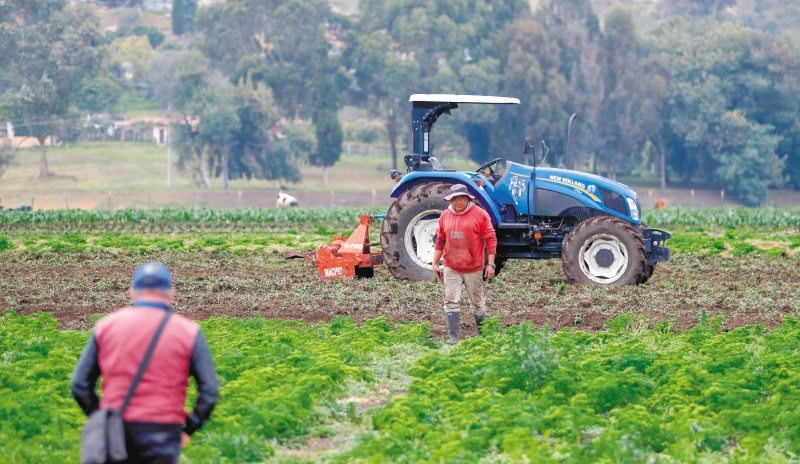 Reforma agraria: lo que debe saber de esta apuesta del Gobierno para el campo