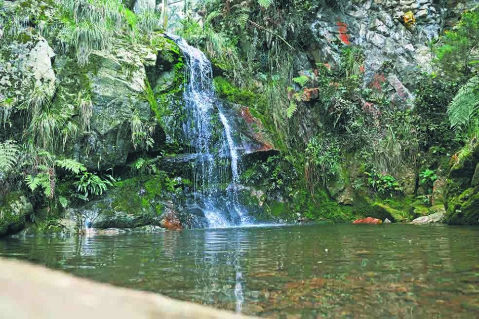 Colombia urbanizada y biodiversa