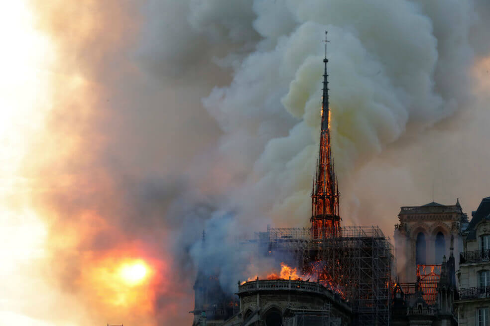 Las abejas de Notre Dame se salvaron del incendio