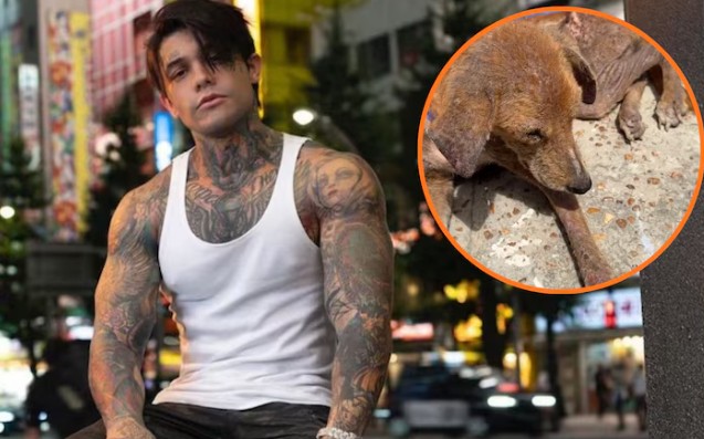 Yeferson Cossio adopta a perro callejero enfermo durante jornada en el Amazonas