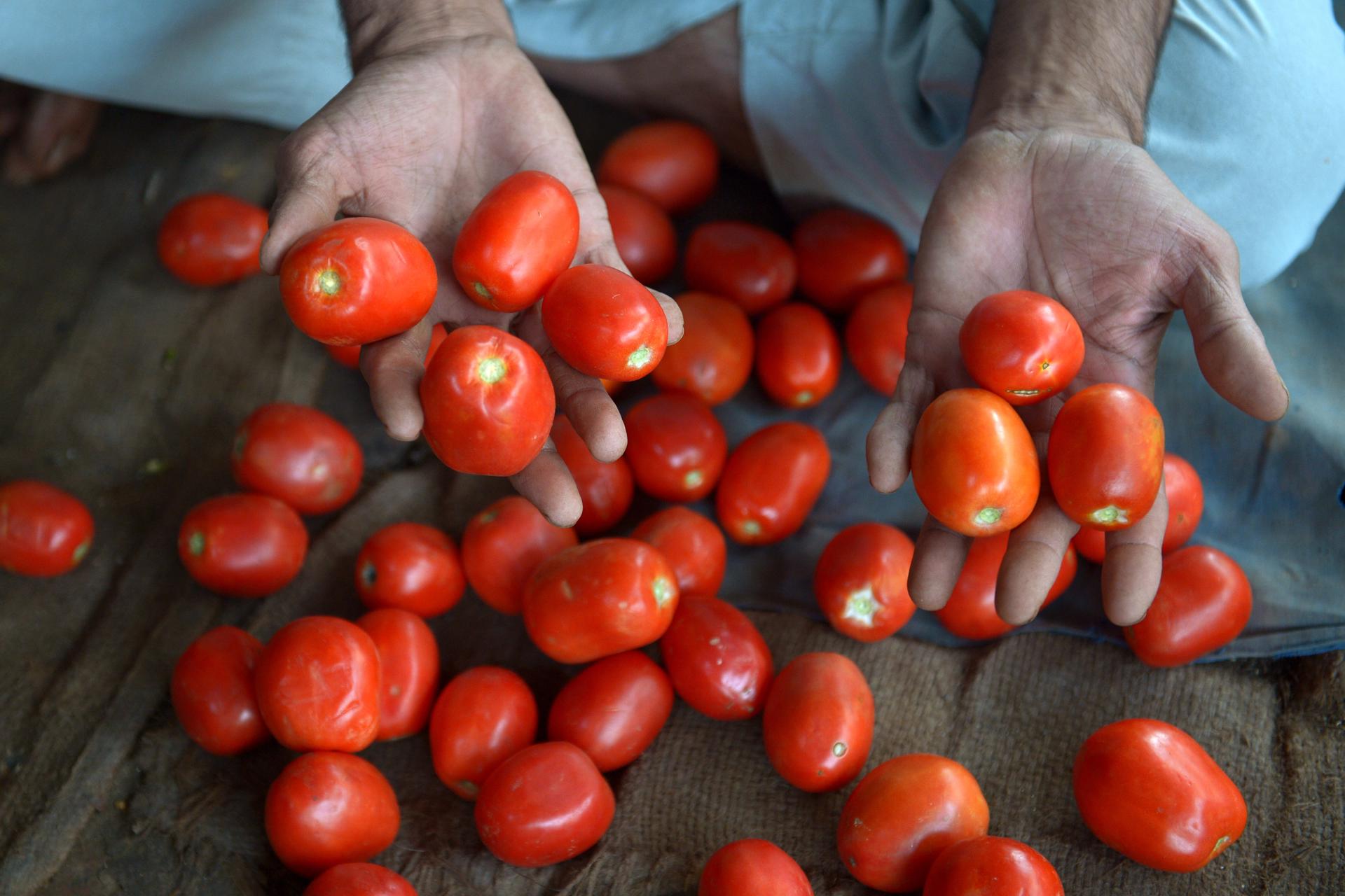 Diez alimentos que parecen verduras, pero en verdad son frutas
