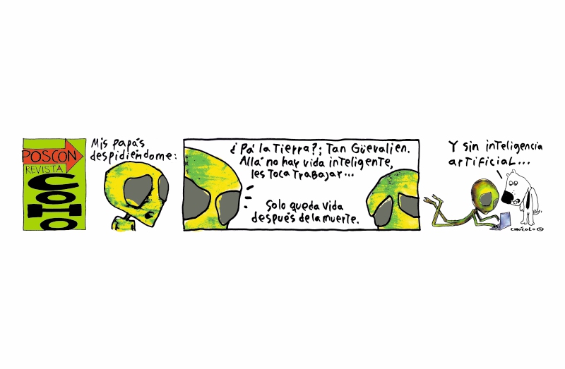 Revista CoHo