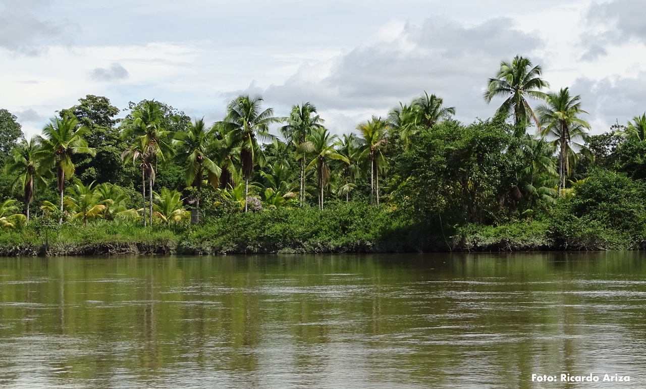 La isla Ají, el lugar que Colombia declaró como área protegida