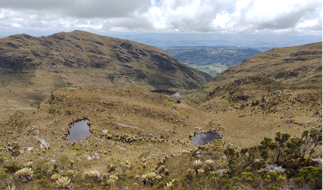 Comité ambiental pide que construcción cerca de la laguna de Iguaque sea retirada
