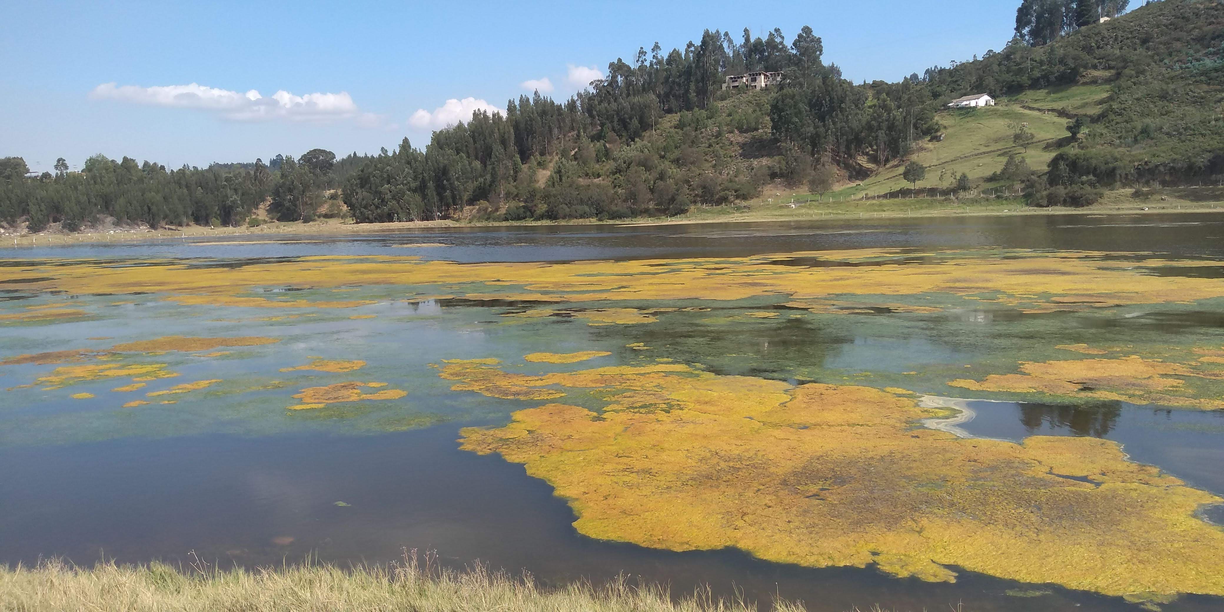 Panorámica del Lago Sochagota en uno de sus momentos de crisis.