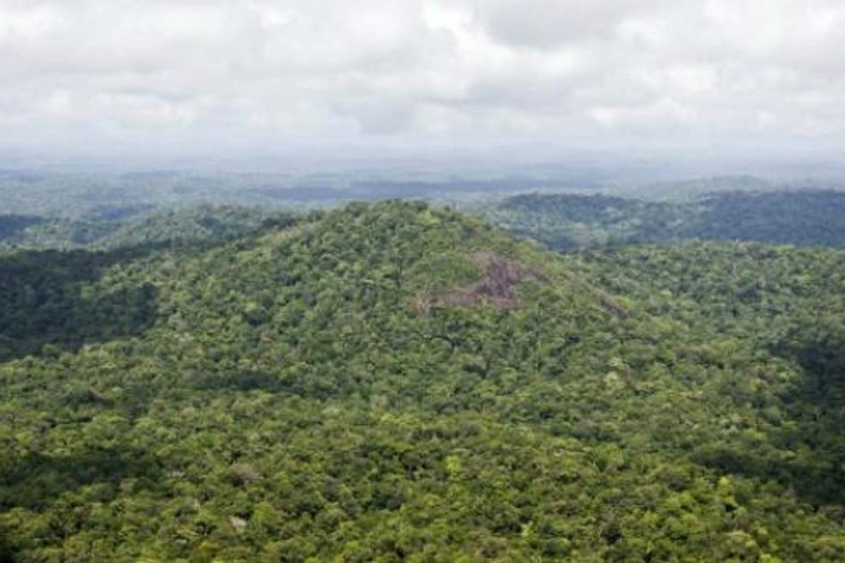 Acaparamiento de tierras en la Amazonía, a debate de control en el Congreso 