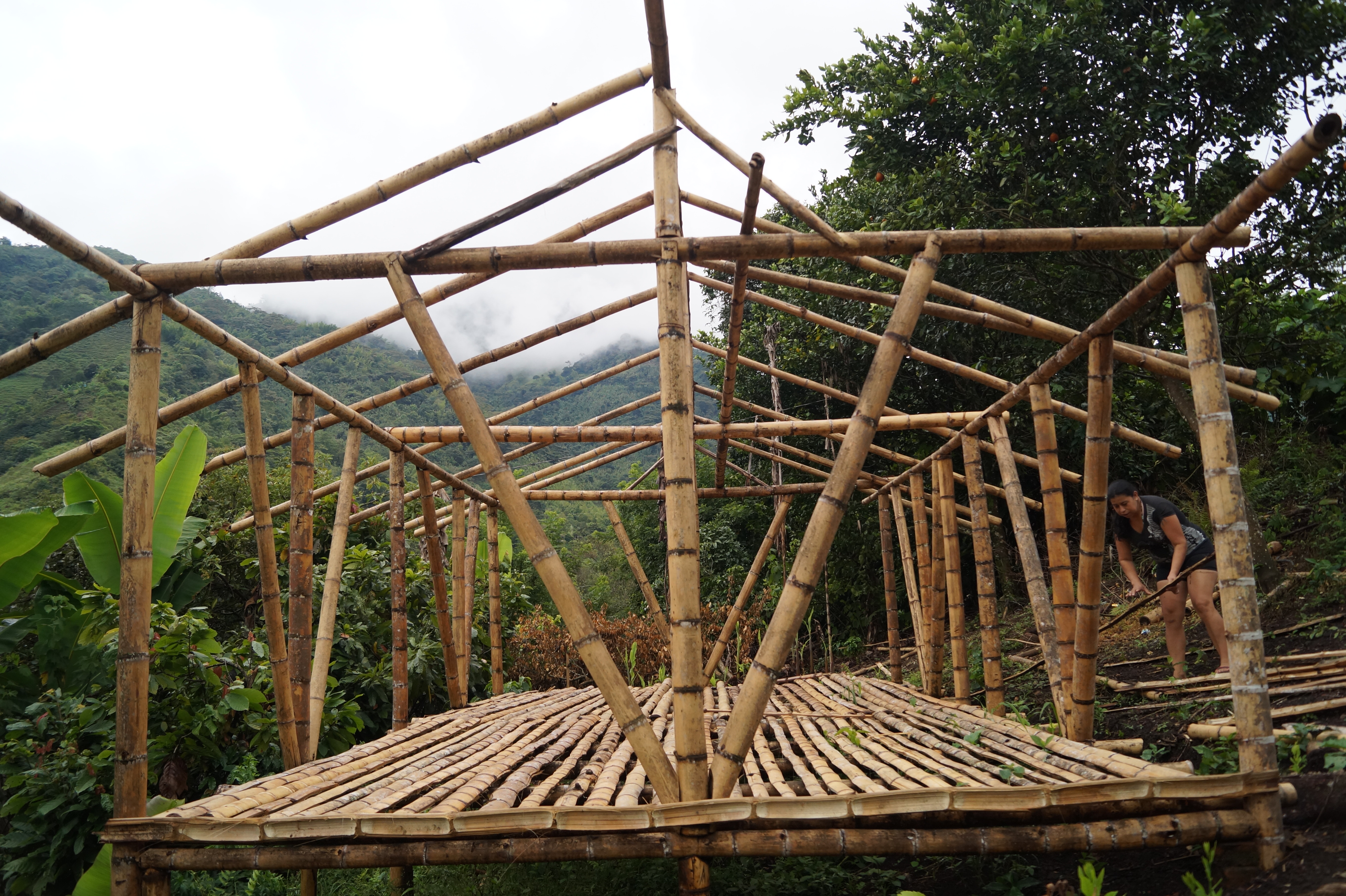 Construcción de galpón para el proyecto de gallinas de engorde del Colectivo Mujeres Emprendedoras Luchando por la Paz.
