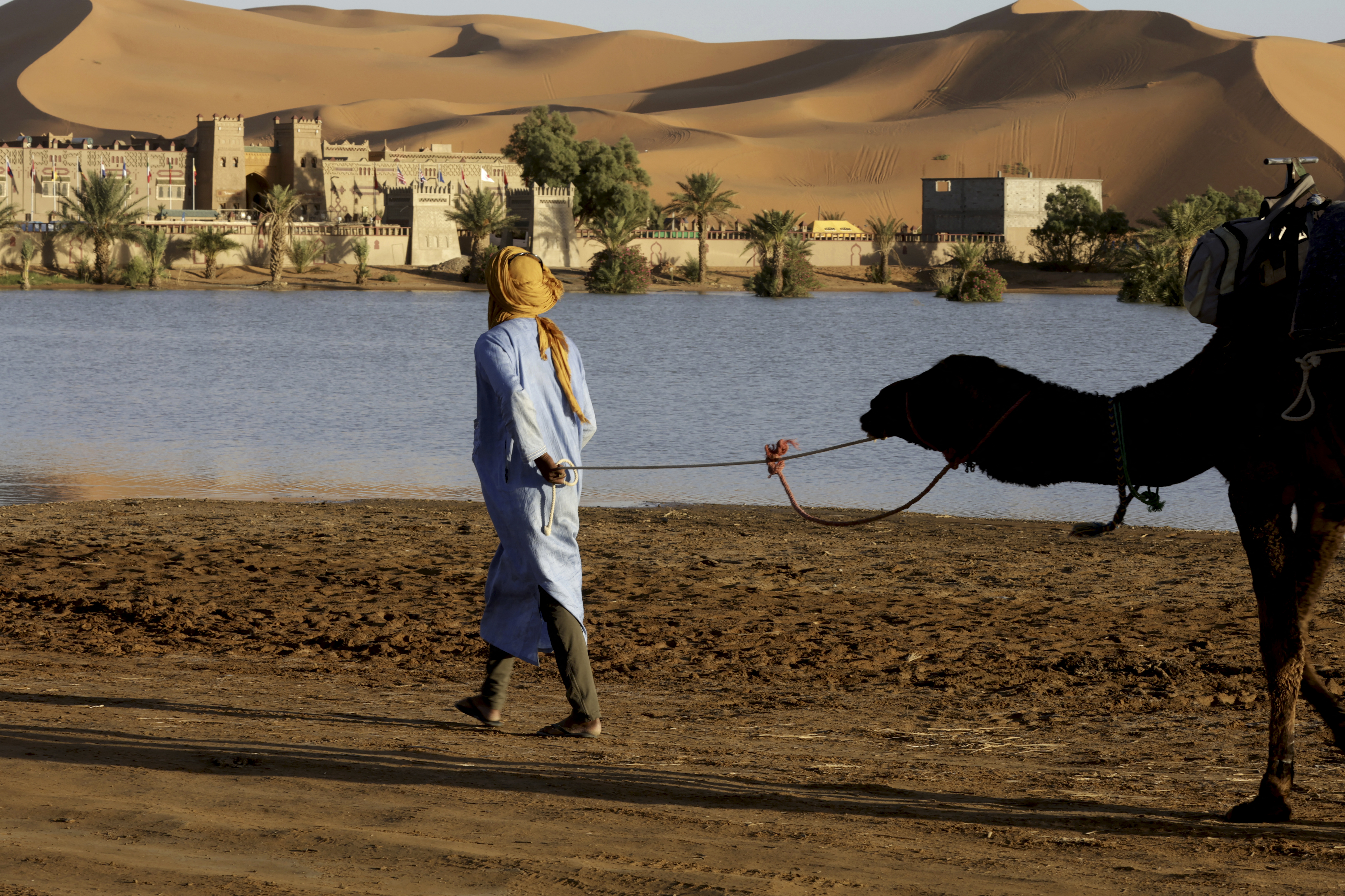 A man leads a camel on the shores of Yasmina lake, a seasonal lake in the village of Merzouga in the Sahara desert in southeastern Morocco on October 20, 2024.