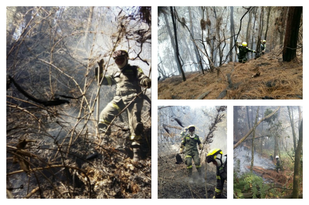 Así se ve por dentro el incendio en los Cerros Orientales