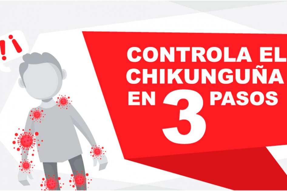 Gobierno lanza página web para conocer todo sobre el chikungunya