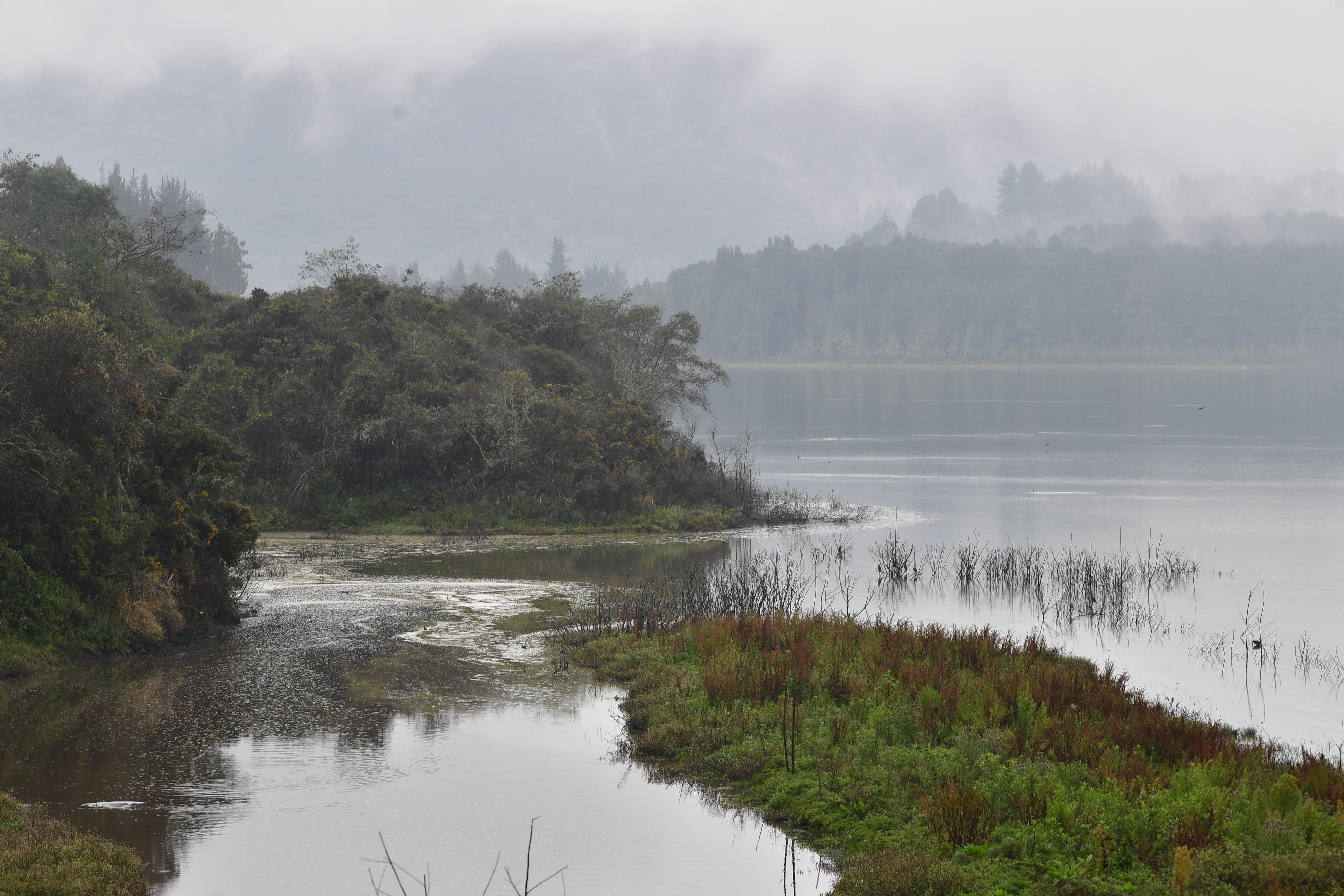También llamado Rio Neusa