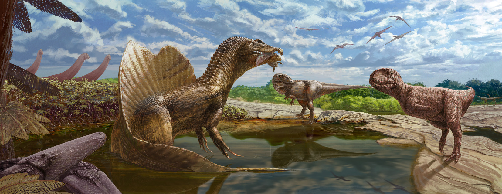 Descubren un nuevo tipo de dinosaurio carnívoro en Egipto