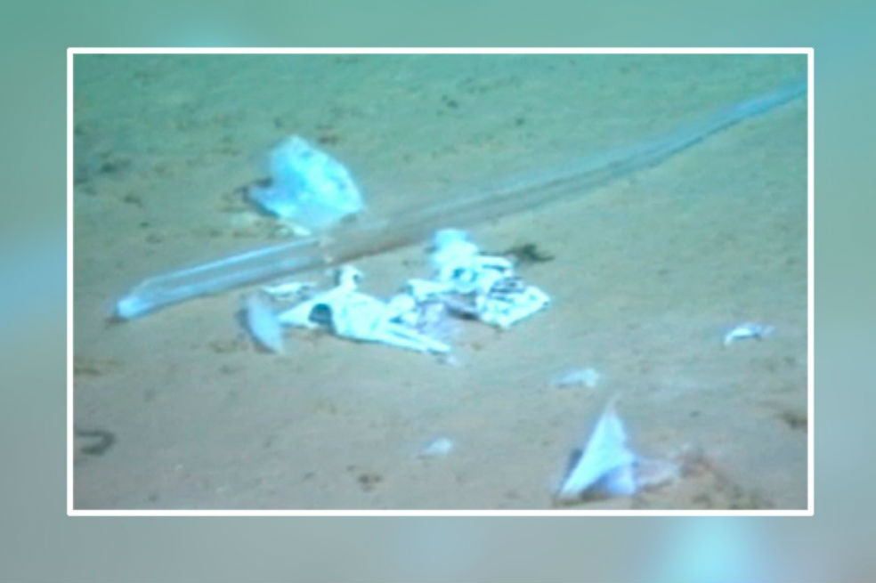 Una bolsa de plástico es hallada en el lugar más profundo del océano