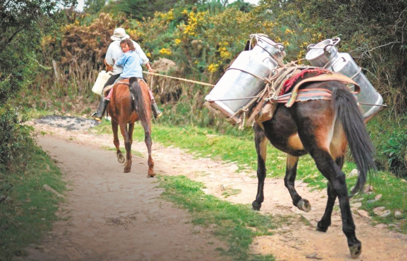 La incertidumbre del sector lácteo en Colombia