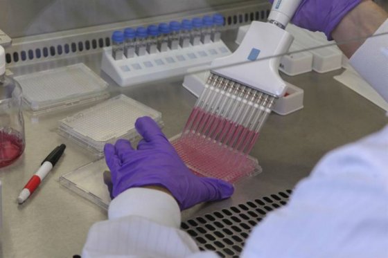Minsalud estudió primeros casos de connacionales con posible ébola