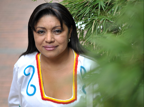 «Soy inocente de todo»: Oneida Pinto tras su captura