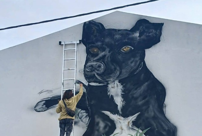 Estudiantes le hicieron un mural a Carbón, el perro que cuida y acompaña a toda una escuela