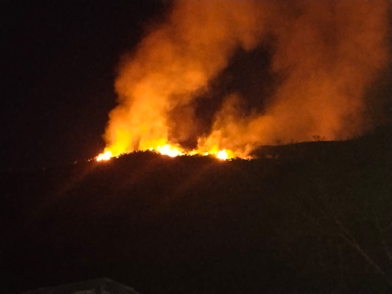 Aumentan incendios forestales en Cundinamarca: 223 en lo corrido del año