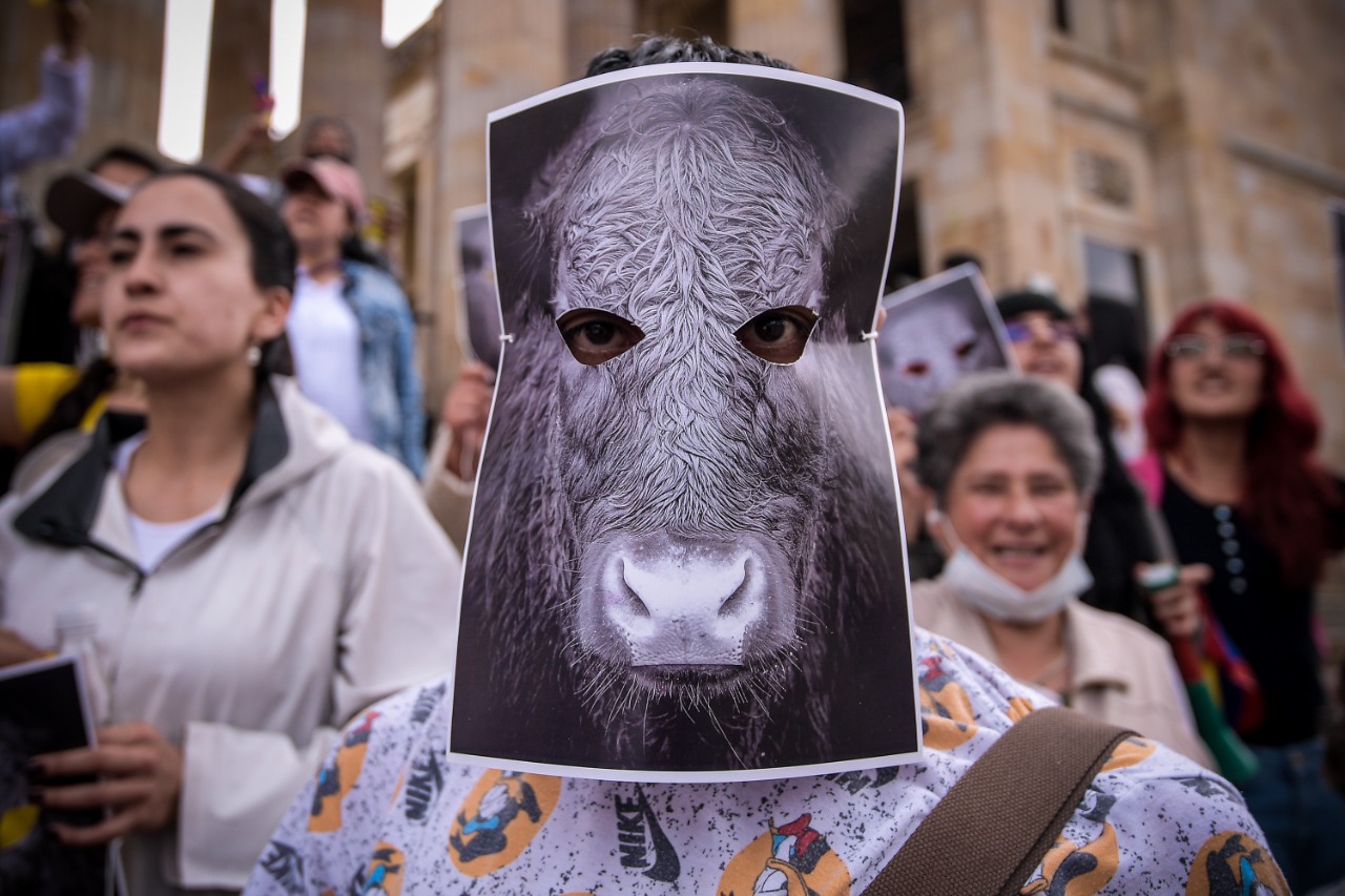 Protestas en defensa de los derechos animales