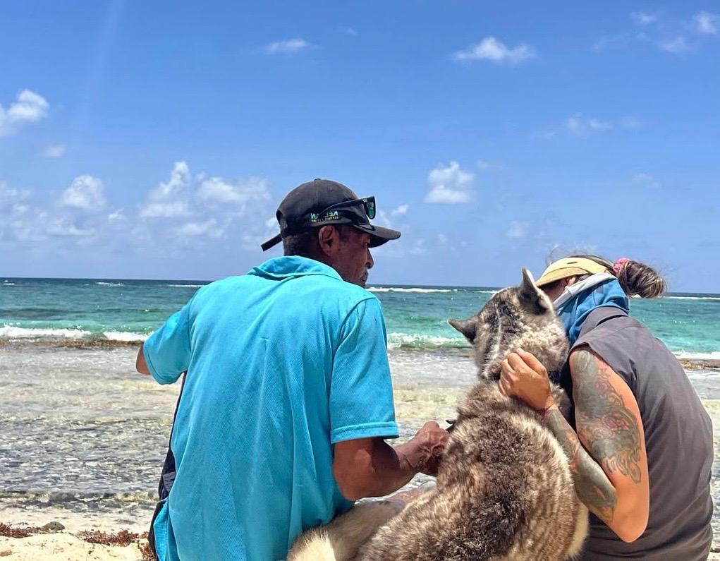 Este refugio protege a los animales más vulnerables de San Andrés