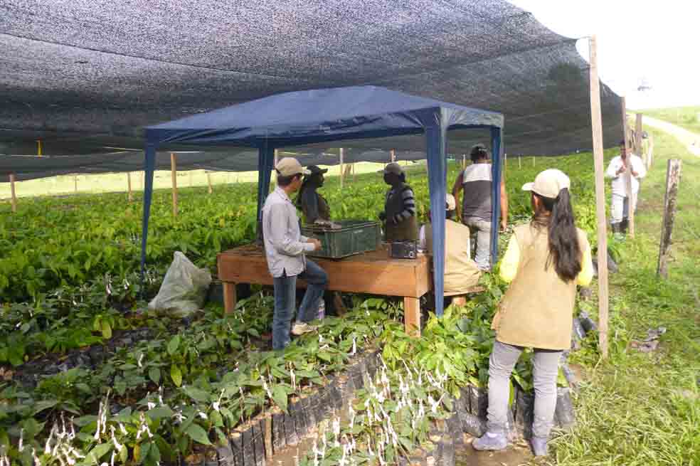 Los campesinos que le dicen sí a la sostenibilidad