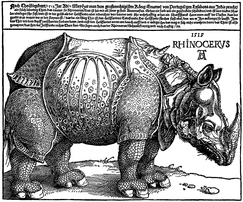 El rinoceronte de Durero y el poder de la imprenta (El teatro de la historia)