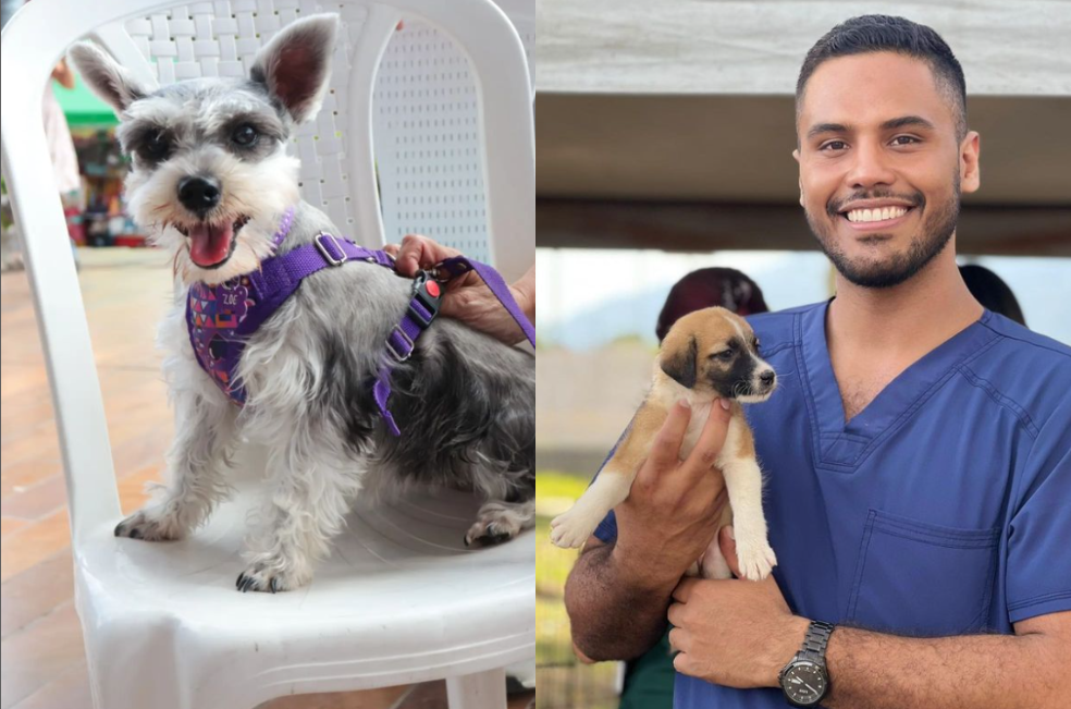 Adopción, vacunación y más: agéndese para la jornada de bienestar animal en Ibagué