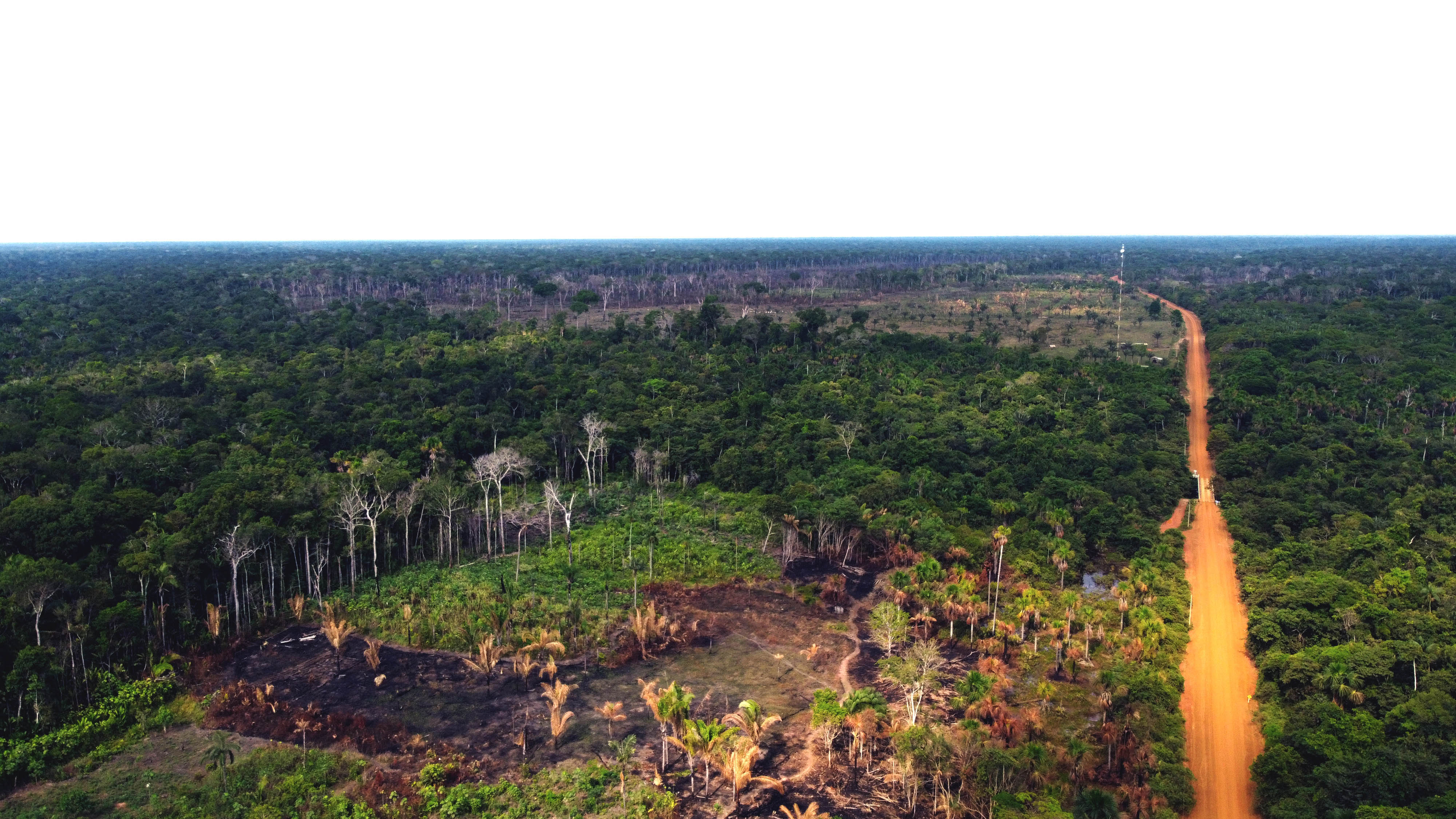 Indígenas Mura, en Brasil  y su lucha por proteger la Amazonia su territorio.