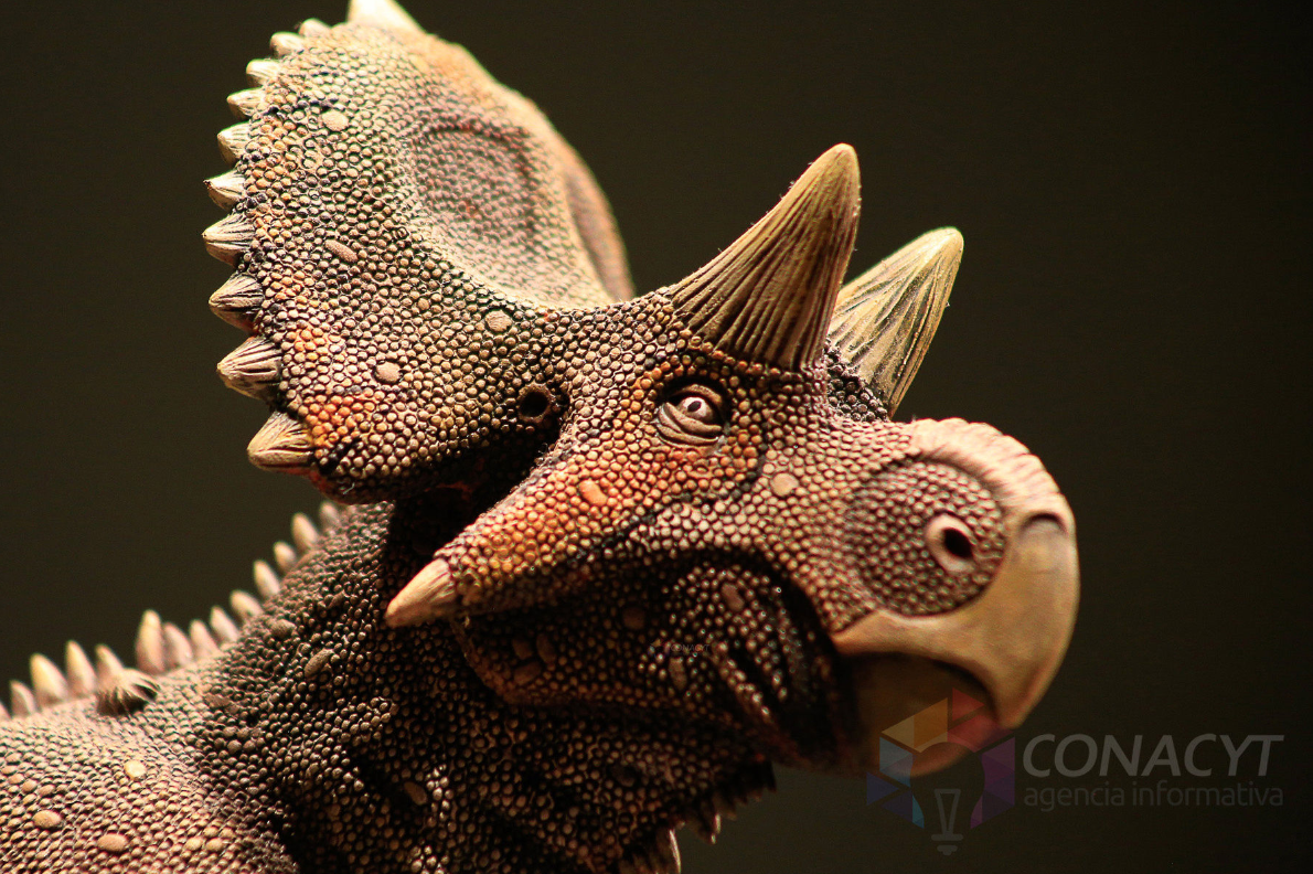 Hallan nueva especie de dinosaurio en México