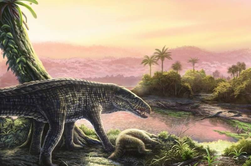 Científicos identifican especie a la que pertenecerían misteriosos fósiles hallados en el Caribe