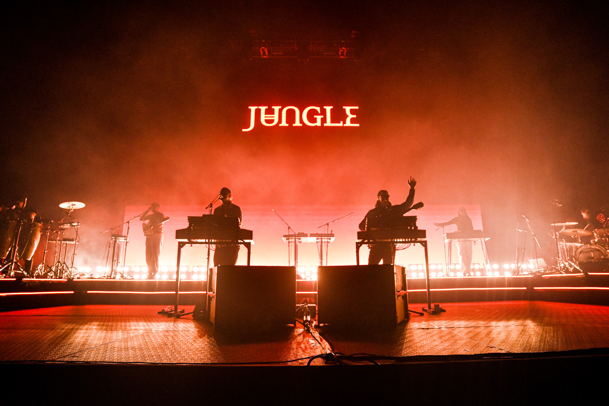 Jungle en Bogotá: fecha, lugar, boletas y más