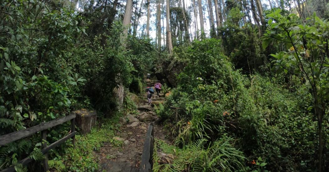 Rescatan a dos jóvenes que se perdieron de noche en los Cerros Orientales de Bogotá